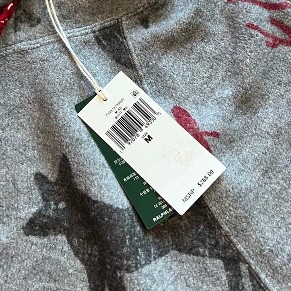POLO COUNTRY RALPH LAUREN BRUSHED FLEECE PRINTED GRAPHIC HOODIE. NEW WITH TAGS.M - Picture 4 of 8